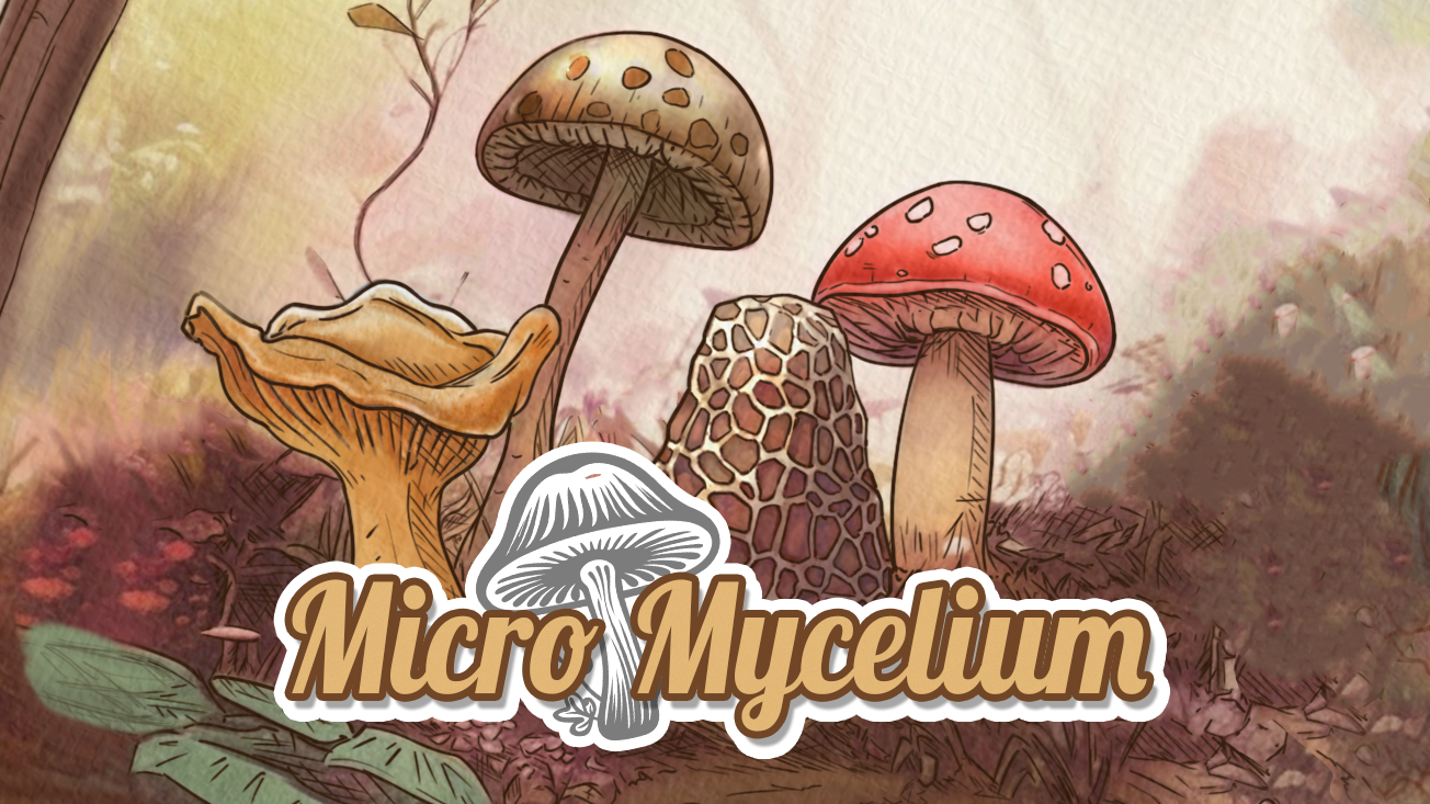 Micro Mycelium PNP