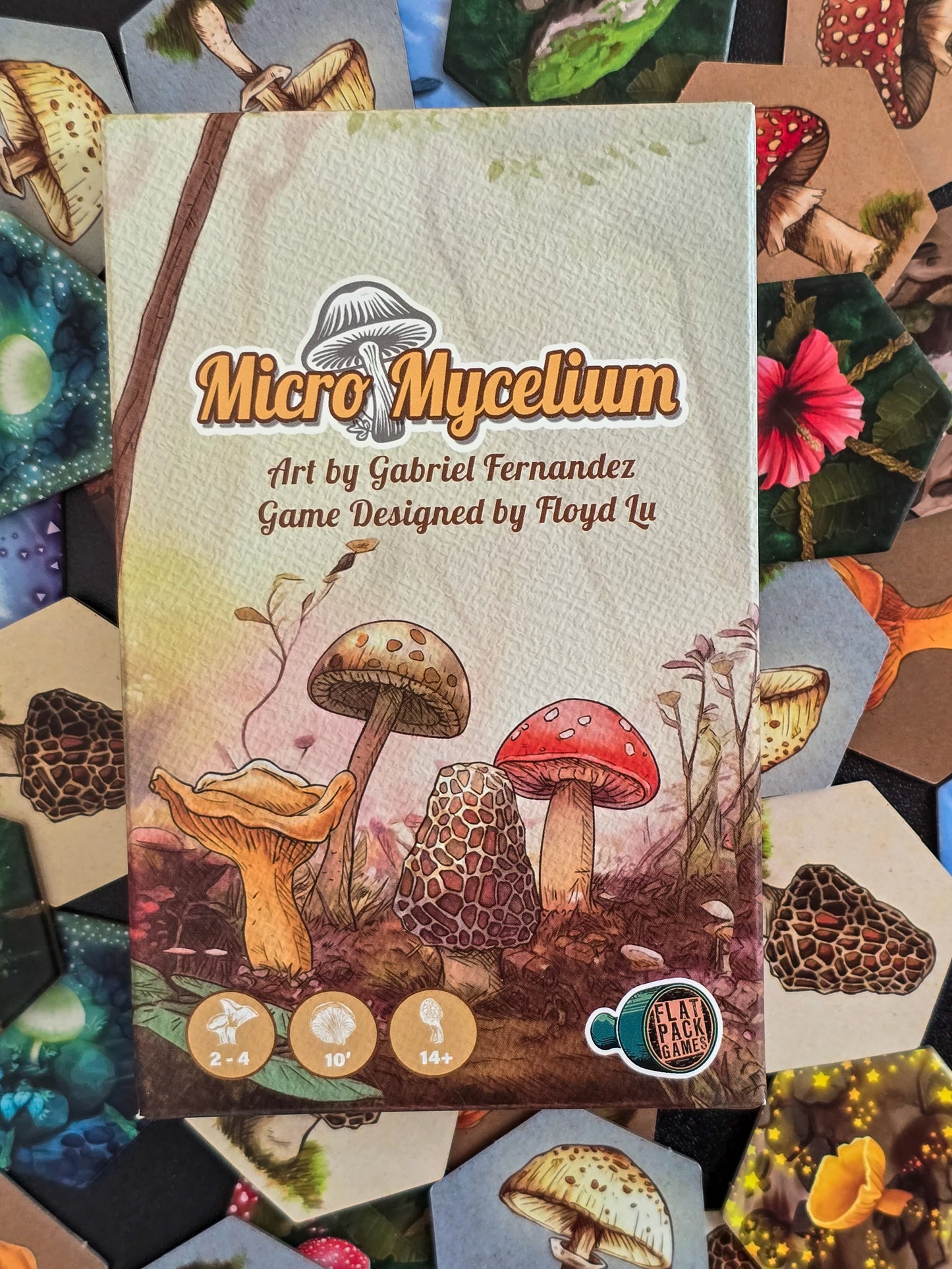 Micro Mycelium
